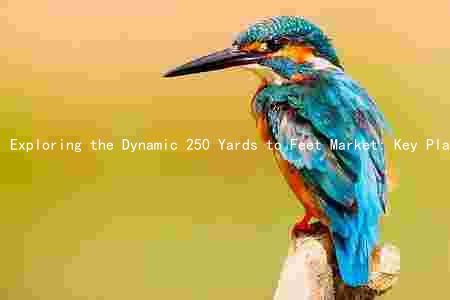 Exploring the Dynamic 250 Yards to Feet Market: Key Players, Challenges, and Growth Prospects