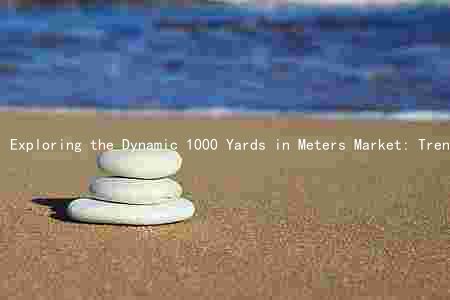 Exploring the Dynamic 1000 Yards in Meters Market: Trends, Drivers, Players, and Risks
