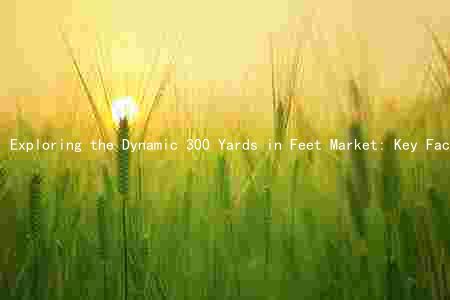 Exploring the Dynamic 300 Yards in Feet Market: Key Factors, Major Players, Challenges, and Growth Prospects
