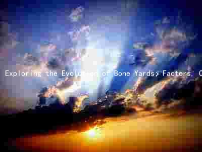 Exploring the Evolution of Bone Yards: Factors, Challenges, and Emerging Trends in the Industry