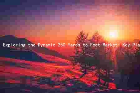 Exploring the Dynamic 250 Yards to Feet Market: Key Players, Challenges, and Growth Prospects