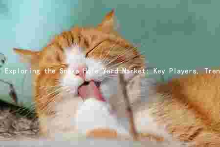 Exploring the Snake Hole Yard Market: Key Players, Trends, Risks, and Opportunities