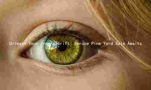 Unleash Your Inner Thrift: Spruce Pine Yard Sale Awaits