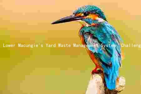 Lower Macungie's Yard Waste Management System: Challenges, Solutions, and Future Plans