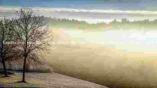 Exploring the 500-yard Stock Market: Trends, Factors, Risks, and Rewards